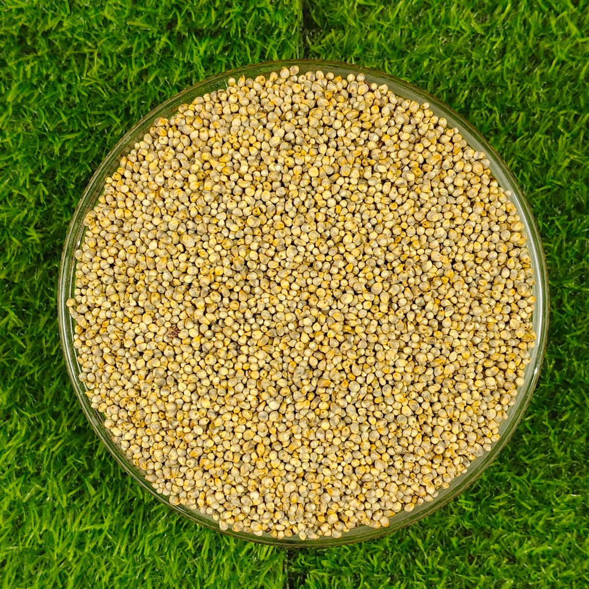 Nattu kambu(Pearl millet)(நாட்டு கம்பு) 1 kg -Rs.200