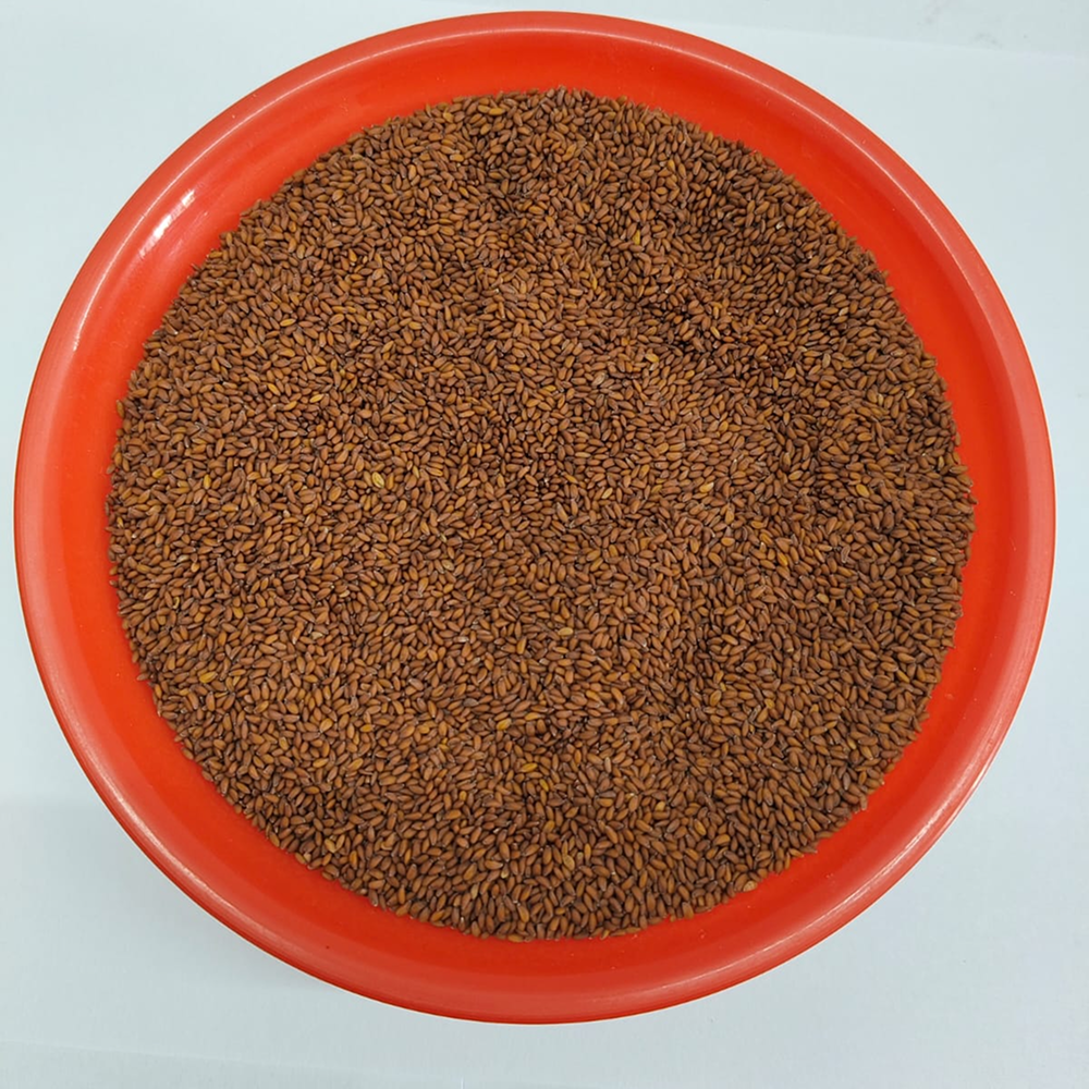 Halim Seed 100g