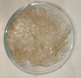 Javarisi Vadagam 100g - 80