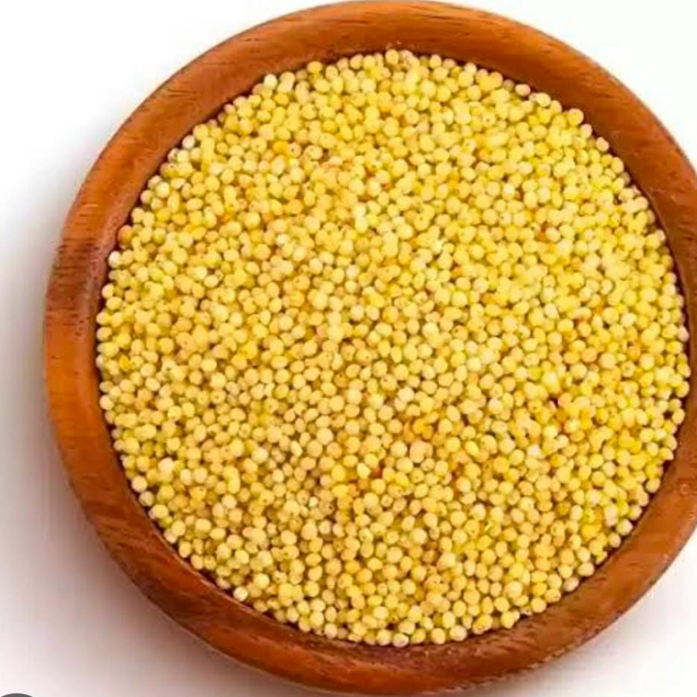 Thenai millet(Foxtail ) (தினை) 500g -Rs.100 – orlydryfruits