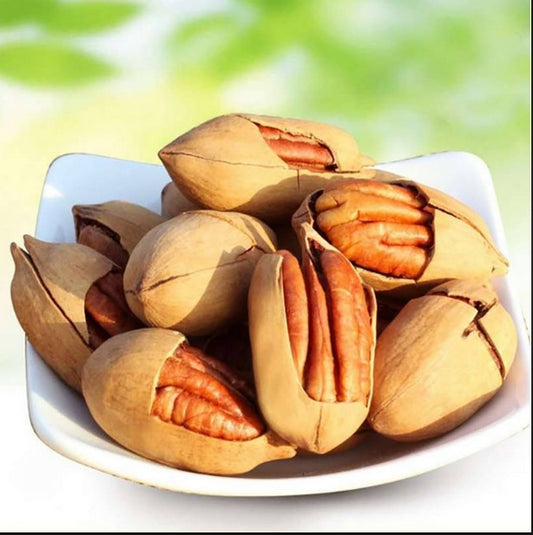 Pecanut In Shell Roasted 500g RS-1000
