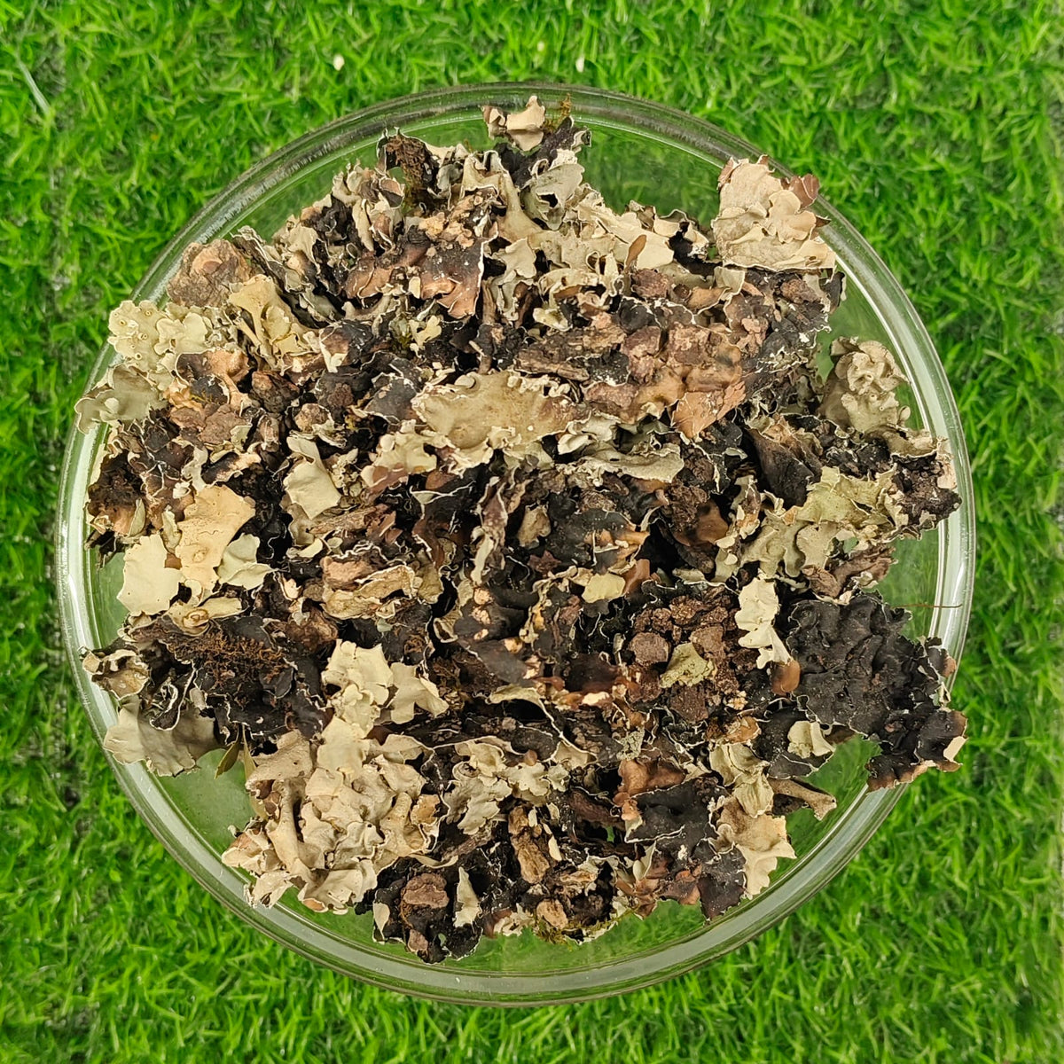 Kal Pasi 50g Rs-50