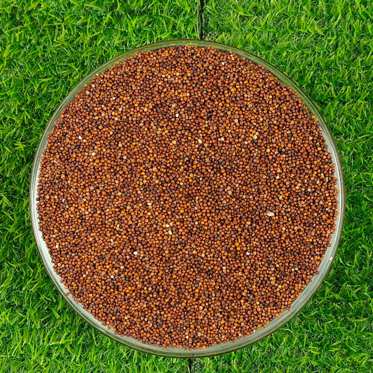 Naatu ragi 500g (நாட்டு ராகி) -Rs.100