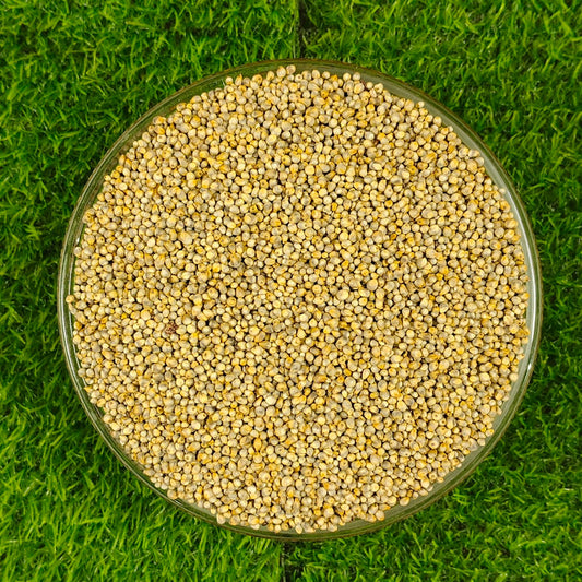 Nattu kambu(Pearl millet) (நாட்டு கம்பு)500g -Rs.100