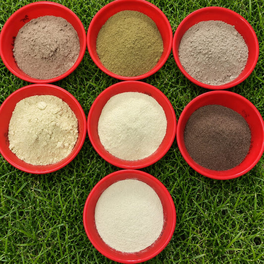 Dosamix combo ( 7item ) 250g Rs.650