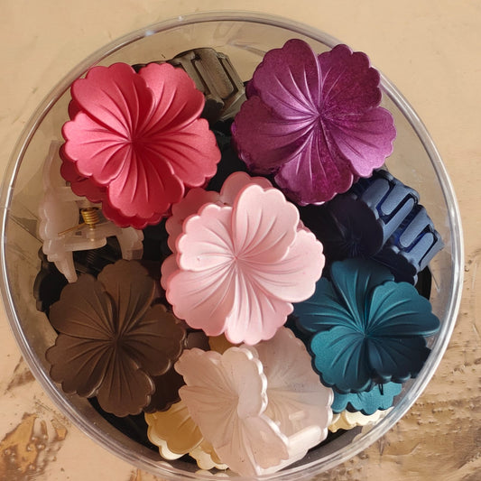(No:9) Clips (C) Rs-210 (23 pcs)