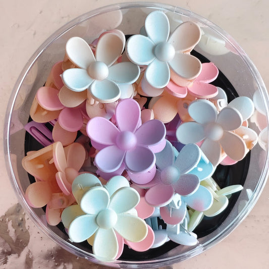 (No:9) Clips (B) Rs-210 (23pcs)