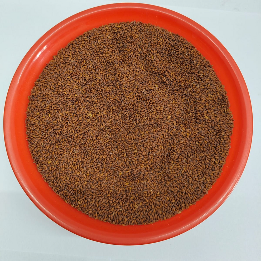 Halim seed 1kg – orlydryfruits
